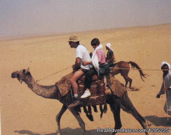 Camel caravan near the Pyramids | professional  tours in Egypt at affordable price | Image #18/24 | 