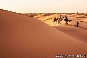 Desert Tours Morcoco - Day Tours / Excursions / ca | Marrakech Medina, Morocco
