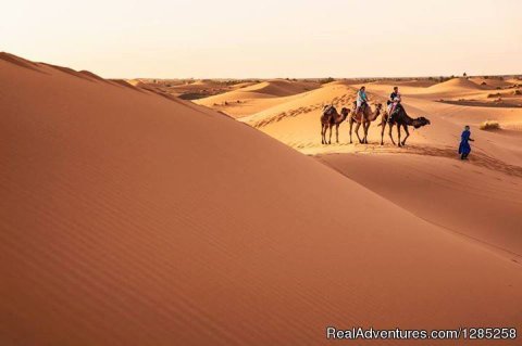 We organzie private Morocco tours, day excursions, camel trek in desert and many more. We have many years experience in travel field.