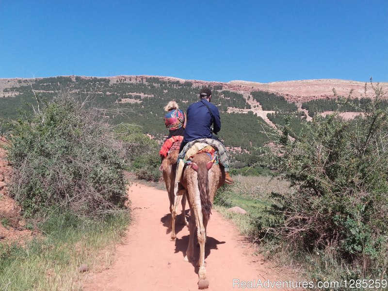 Camel Ride, in atlas mountains | Atlas Mountains, Private Day Trip & Camel Ride | Marakech, Morocco | Camel Riding | Image #1/4 | 