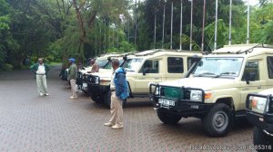 Tanzania safari booking to explore nature wildlife