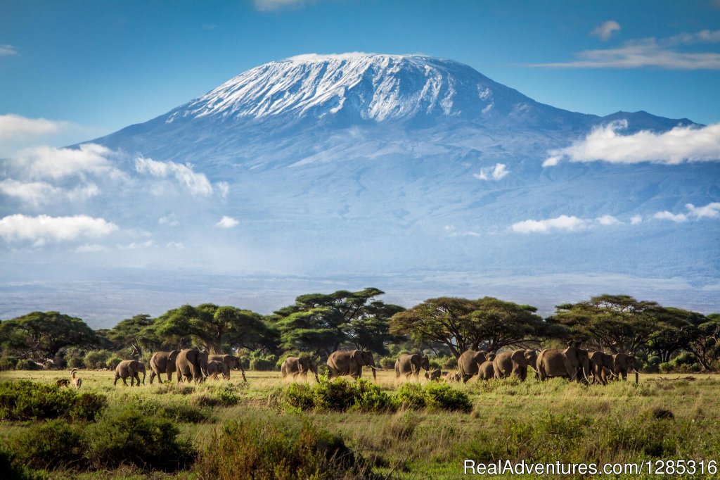 Kilimanjaro tours climbing adventures by Classic Tours | Tanzania safari booking to explore nature wildlife | Image #6/9 | 
