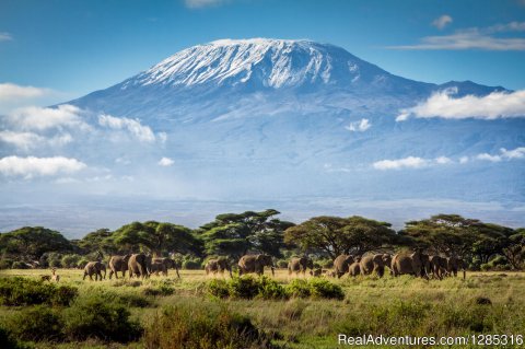 Kilimanjaro tours climbing adventures by Classic Tours