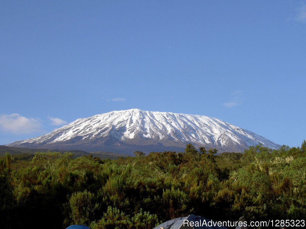 Mt. Kilimanjaro via Rongai | Kilimanjaro Climb | Image #3/3 | 