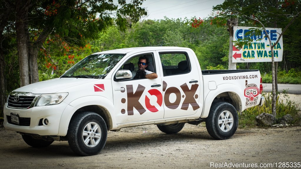 Koox Diving Tulum - Ride | Koox Diving | Image #6/6 | 