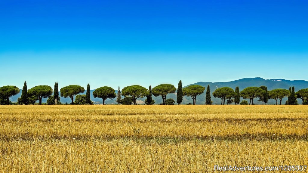 The Tuscan Coutnryside | Wellness Via Tuscany | Image #18/23 | 