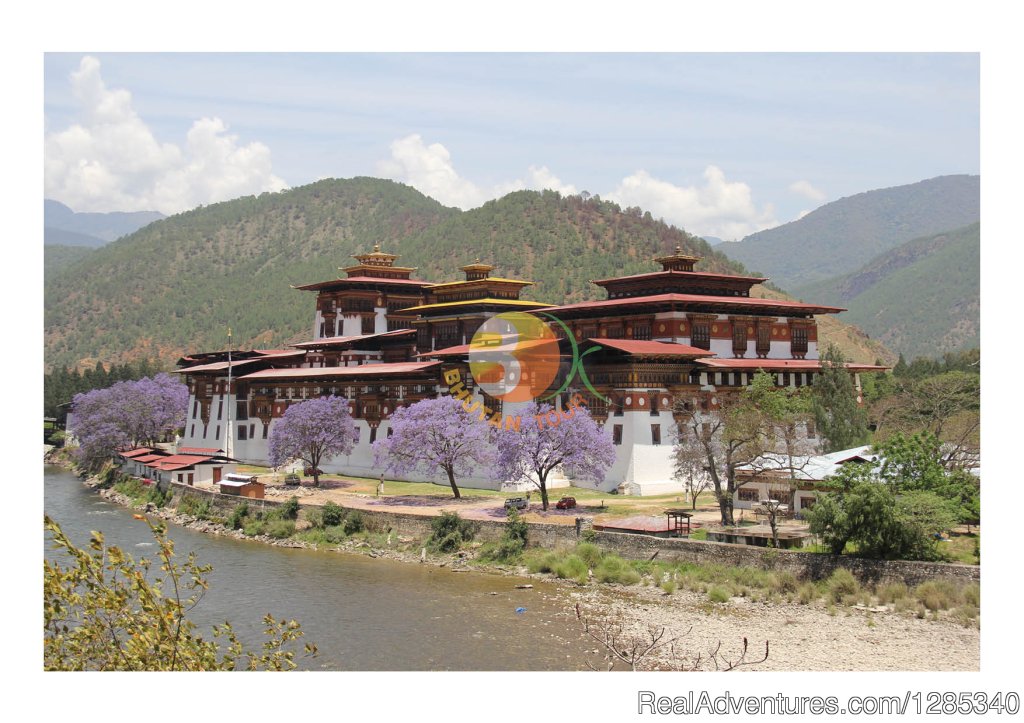 Punakha Dzong | Bhutan Travel Agency | Image #2/6 | 