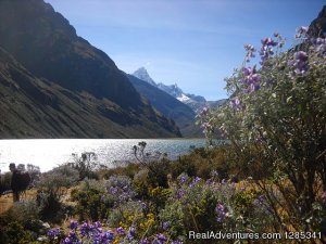 Peru Santa Cruz Trekking | Cordillera Blanca | Huaraz, Peru Hiking & Trekking | South America Adventure Travel