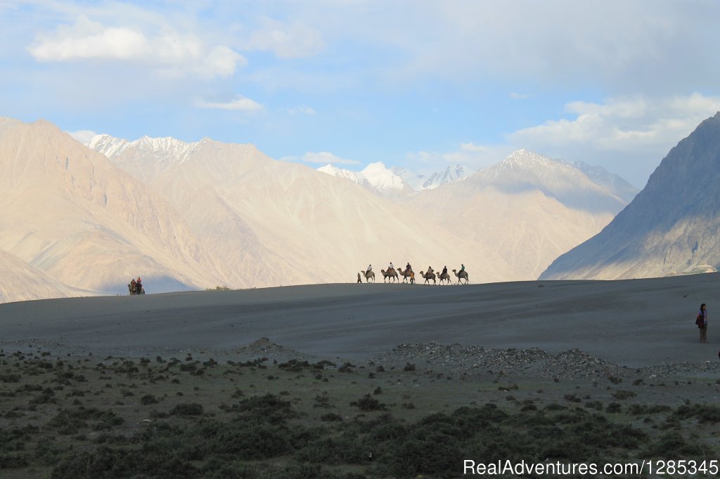 Nubra Valley Ladakh | Himalaya Insight Ladakh | Ladakh, India | Sight-Seeing Tours | Image #1/1 | 