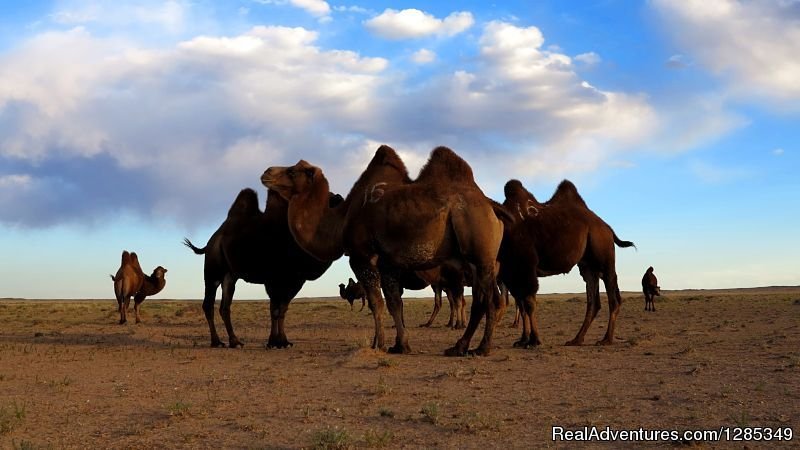 Staying With Mongolian Nomads Family Tour | Image #21/26 | 