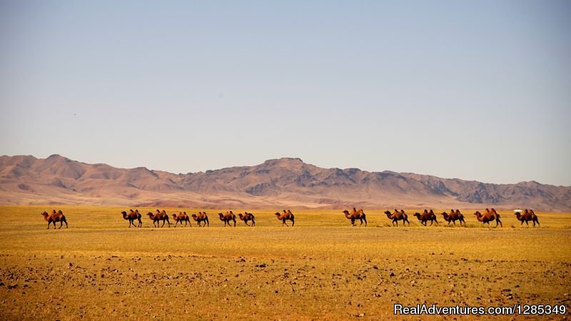 Staying With Mongolian Nomads Family Tour | Image #23/26 | 