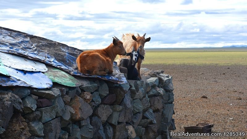 Staying With Mongolian Nomads Family Tour | Image #25/26 | 