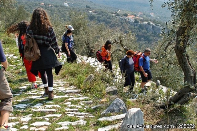 Mount Pelion Hiking Tour | Meteora and Mount Pelion Hiking Tour | Pelion, Greece | Hiking & Trekking | Image #1/4 | 