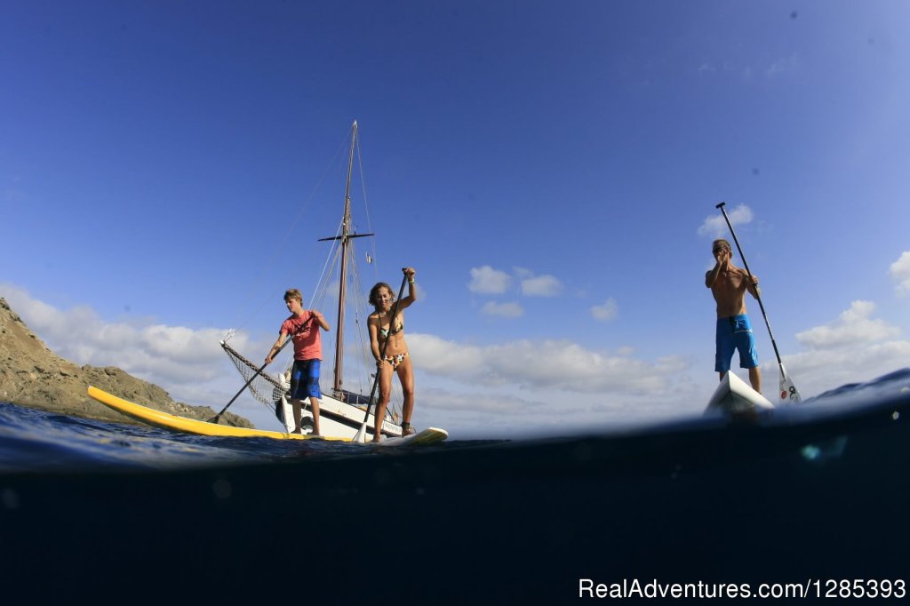 Surfing camp on Madeira Island 'Hawaii of Europe' | Image #4/9 | 