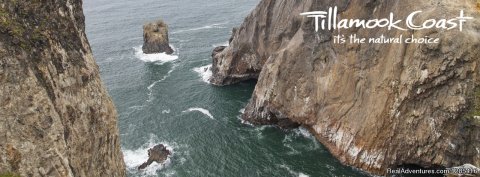 Tillamook County on the Oregon Coast offers outdoor recreation on beaches, bays, rivers and forests, including hiking, fishing, beachcombing, paddle sports, golfing, birdwatching, wildlife viewing, off-road biking and surfing.