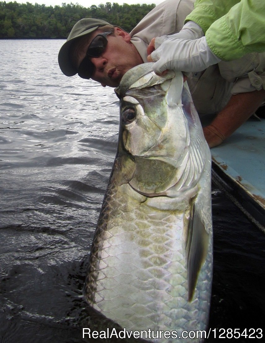 Everglades fishing charters at no free lunch chart | Image #6/6 | 