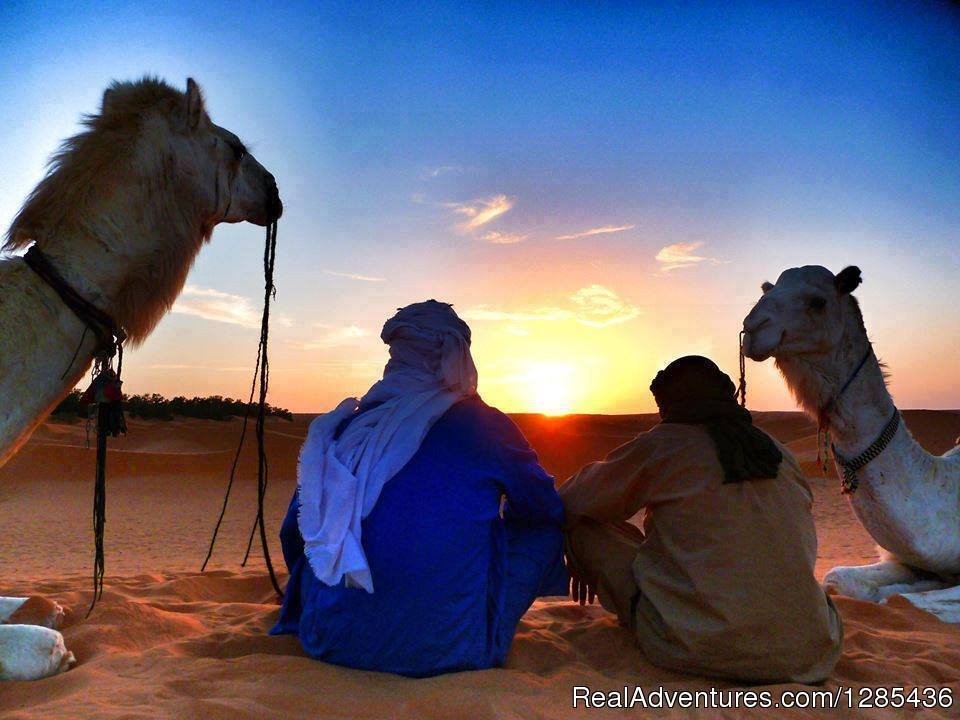 Morocco Tour | Magic Lamp Tours | Marrakesh, Morocco | Camel Riding | Image #1/4 | 