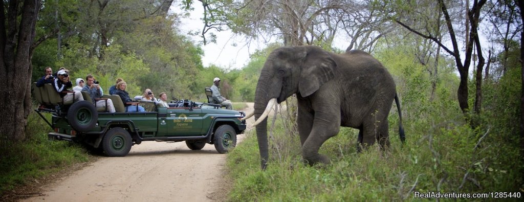 Best African Safaris | Image #3/6 | 