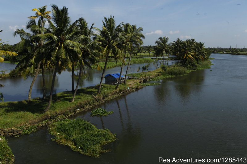 Kochi Backwaters | Kerala Honeymoon Tour Packages | Image #2/7 | 