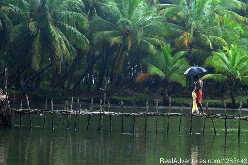 Kasaragod Backwaters | Kerala Honeymoon Tour Packages | Image #7/7 | 