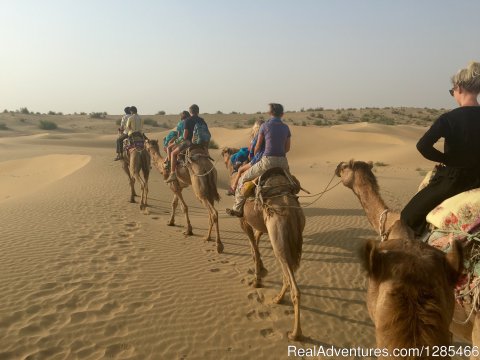 Camel and Desert