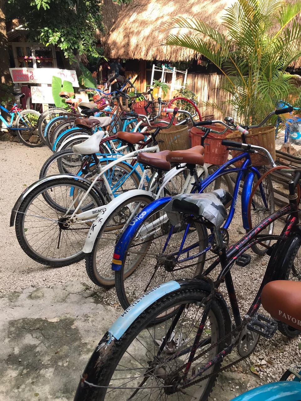 Secure Bike Parking | Meztli Spanish Language School Tulum | Image #7/8 | 