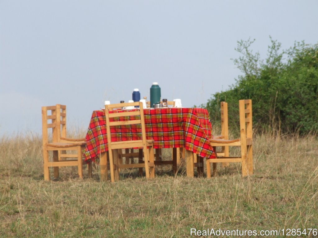 Bush breakfast - Queen Elizabeth national park | Kagera Safaris - Gorilla and Wildlife Safaris | Image #3/8 | 