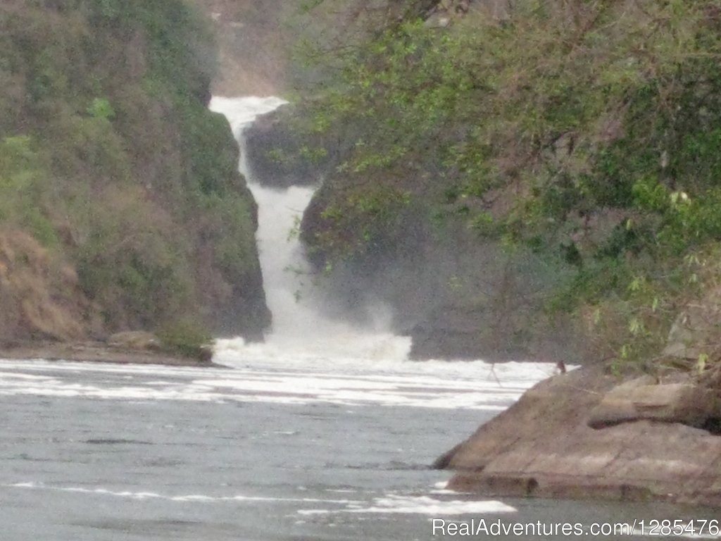 Murchison falls | Kagera Safaris - Gorilla and Wildlife Safaris | Image #7/8 | 