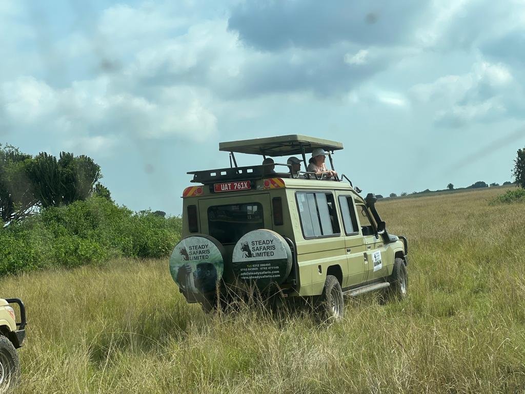 Lion Tracking | Gorilla Trekking Safaris | Image #9/9 | 