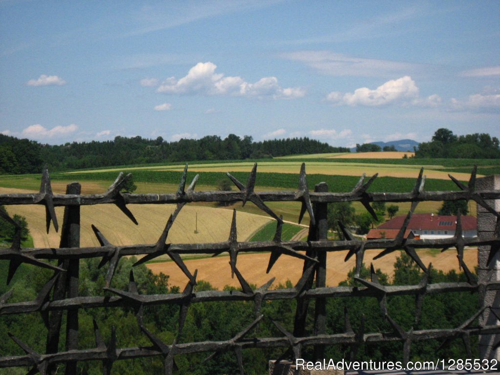 Small-Group Day Trip to Mauthausen from Vienna | Image #4/6 | 