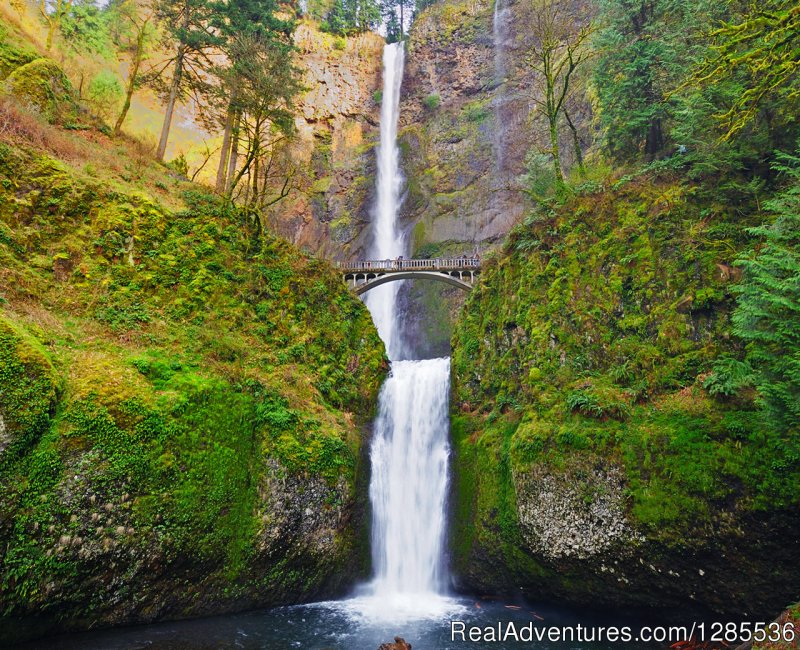 Multnomah Falls | The Liberation Tour to expand your Comfort Zone | Image #6/6 | 