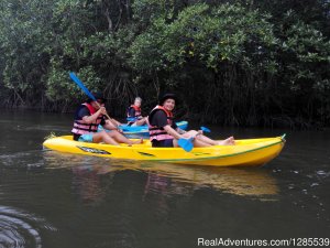 Mangrove Kayaking | Tourism Center Khanom, Thailand | Tourism Center Asia