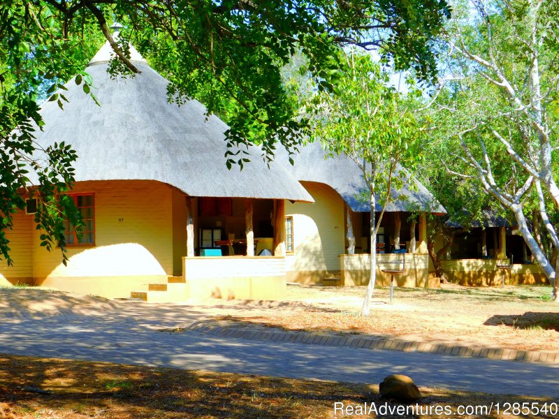 Bungalow accommodation. | Authentic Kruger Park Safari Experiences. | Image #5/11 | 