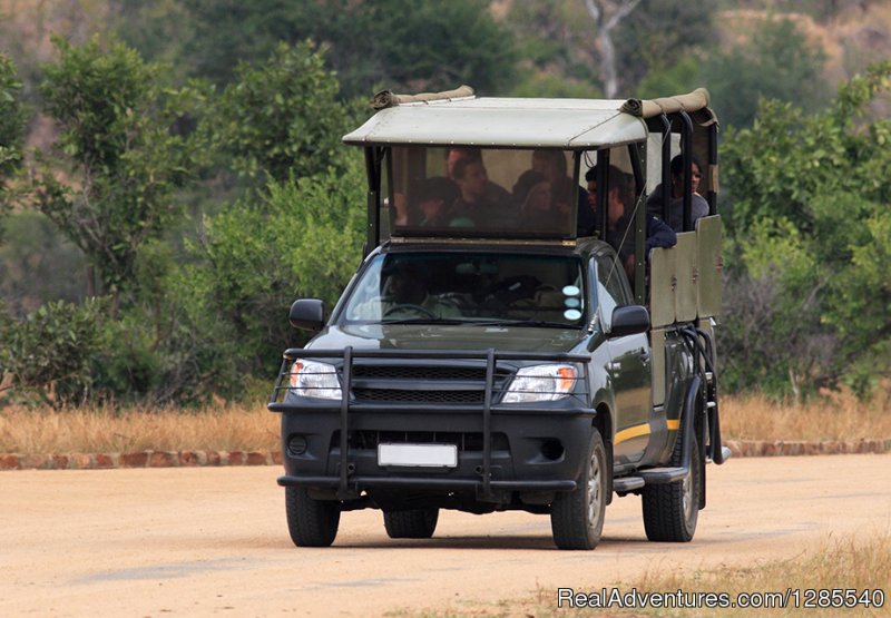 Open Vehicle Safaris Experiences. | Authentic Kruger Park Safari Experiences. | Image #8/11 | 