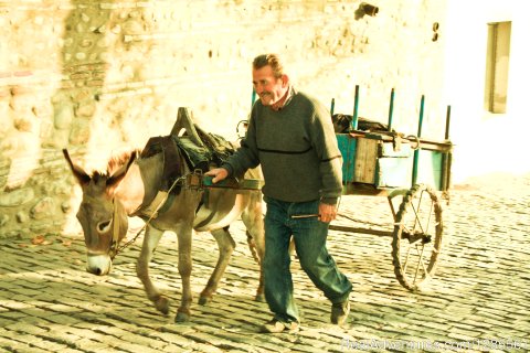 Local with donkey