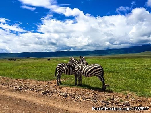 Karibu Tanzania Tours | Image #10/25 | 