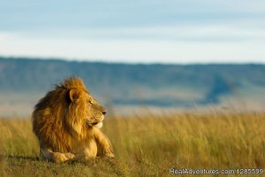 Foot Slopes Tours & Safaris | Arusha, Tanzania Wildlife & Safari Tours | Tanzania Wildlife & Safari Tours