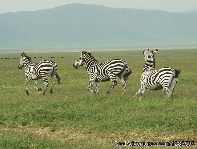 Foot Slopes Tours & Safaris | Image #11/14 | 
