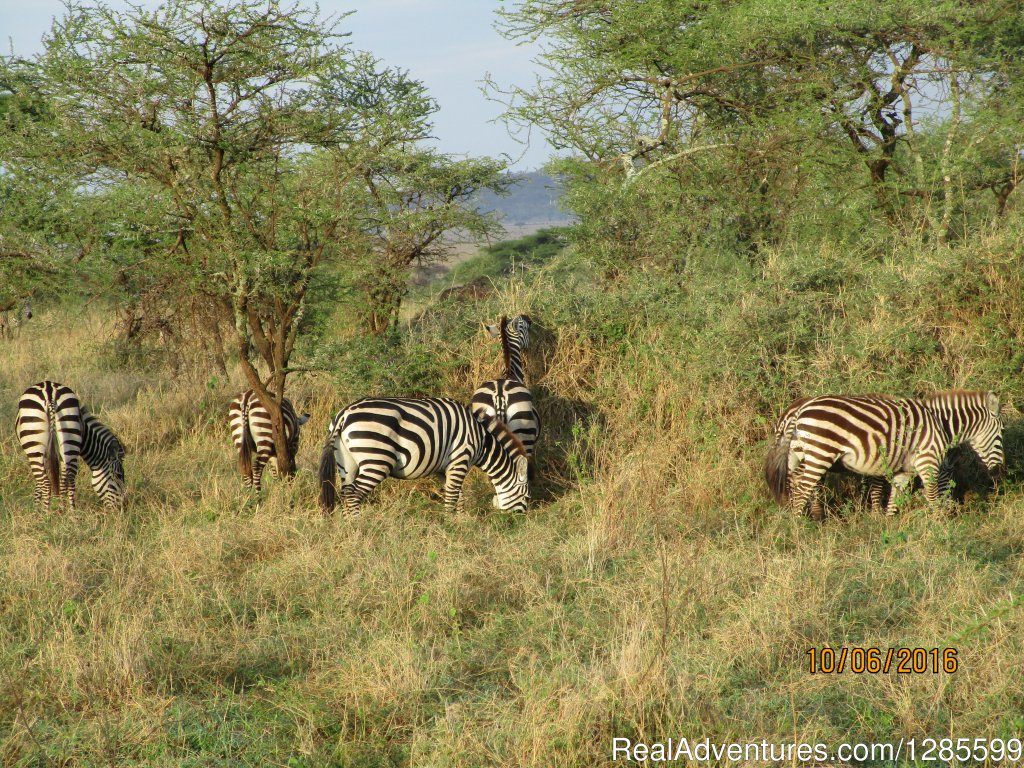 Foot Slopes Tours & Safaris | Image #12/14 | 