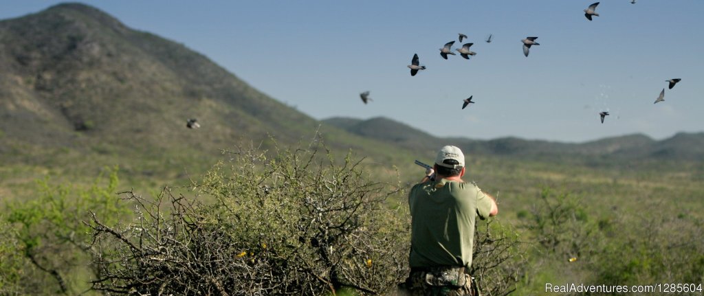 Best Wingshooting In Argentina | Cordoba Province, Argentina | Hunting Trips | Image #1/7 | 