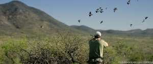 Best Wingshooting In Argentina | Cordoba Province, Argentina Hunting Trips | Argentina