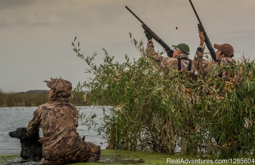 Best Wingshooting In Argentina | Image #2/7 | 