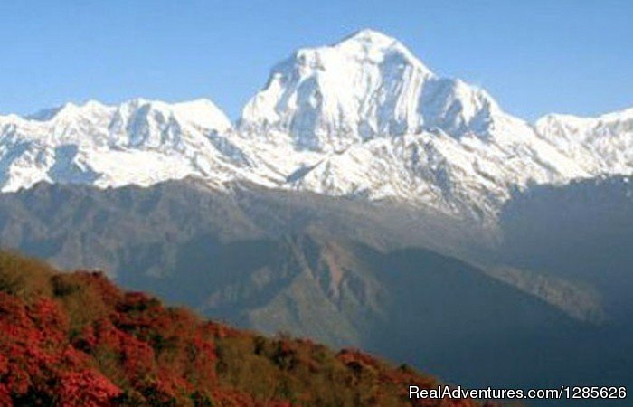 Dhaulagiri Mountain | Sunrise Adventure Trek | Kathmandu Nepal, Nepal | Sight-Seeing Tours | Image #1/4 | 