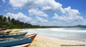 Talallaretreat | Adam's Peak, Sri Lanka Bed & Breakfasts | Negombo, Sri Lanka