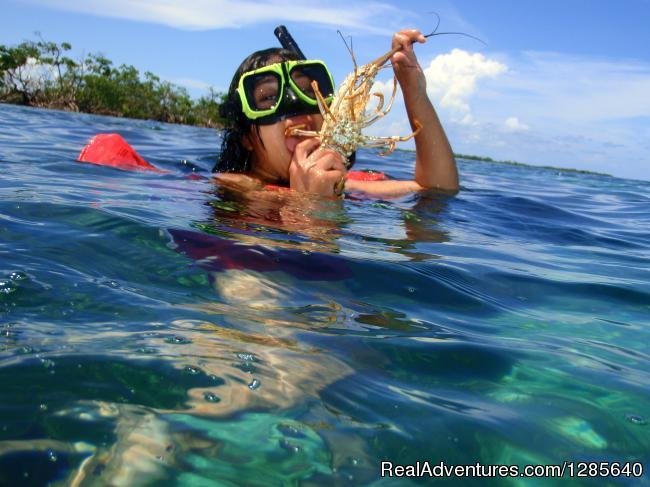 Reef Snorkeling, In the Water | Yaxche Adventure Tours | Image #12/12 | 