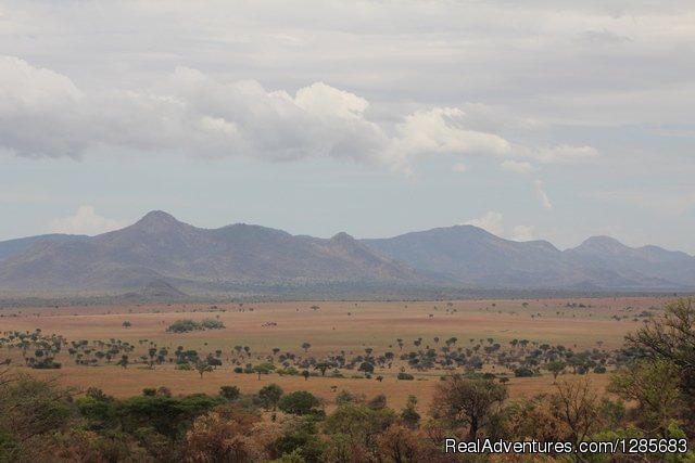 Kidepo Valley National Park | Encounter africa Safaris Ltd | Image #3/5 | 