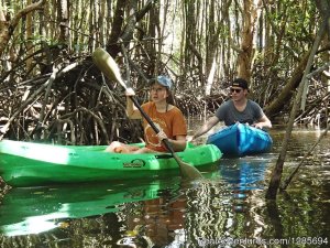 Khao Lak Mangrove Explorers - Private Excursoins