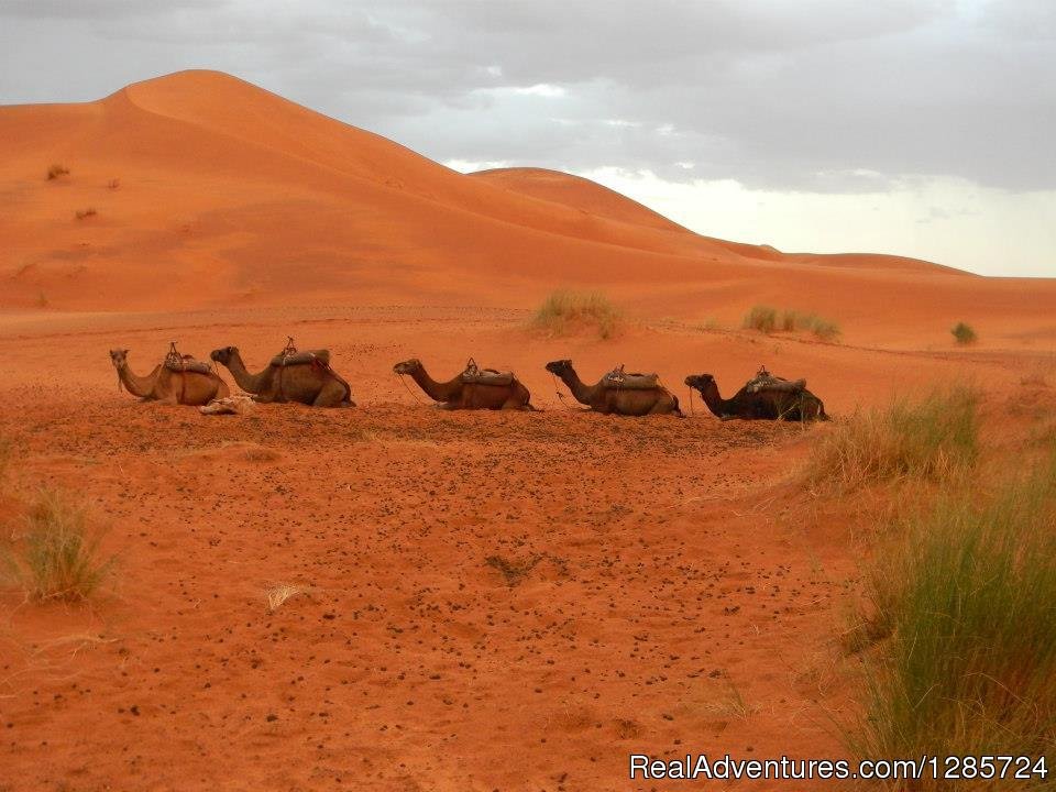 Superb Morocco Tours | Image #10/26 | 