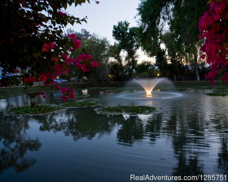 Fountain and pond at night | Shadow Hill RV Resort | Image #2/7 | 