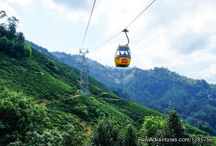 Darjeeling Ropeway | Mesmerizing Darjeeling with Gangtok Tour | Dehli, India | Sight-Seeing Tours | Image #1/5 | 